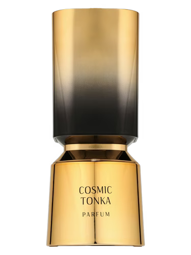 French Avenue x Cosmic Tonka (Limited Stock)