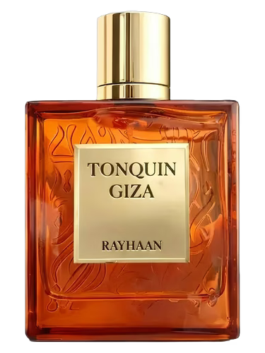 Rayhaan x Tonquin Giza (Limited Stock)