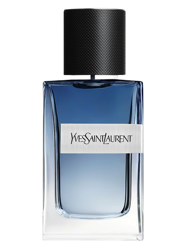 YSL x Y Live (Limited Stock)